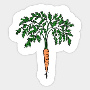 Carrot plant illustration Sticker